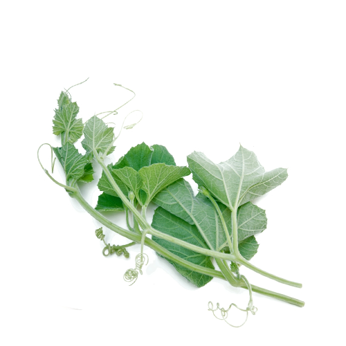 Lau Shak (Bottle Gourd Leaf)~ 1 bundle