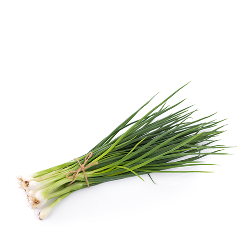 Piaj Pata (Spring Onion)~ 100 Gm