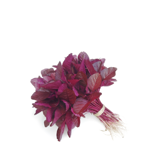 Lal Shak (Red Spinach)~ 1 bundle