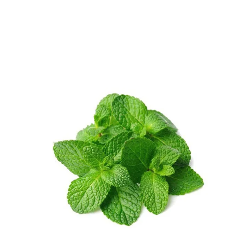 Pudina Pata (Mint Leaves)