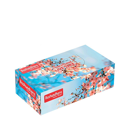 Bashundhara Facial Tissue Box 120x2ply