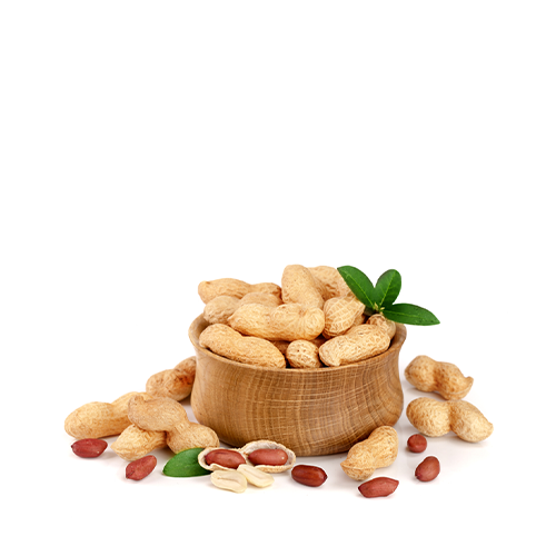 Vaja Cheena Badam (Peanut Peeled With Shell)~ 500Gm