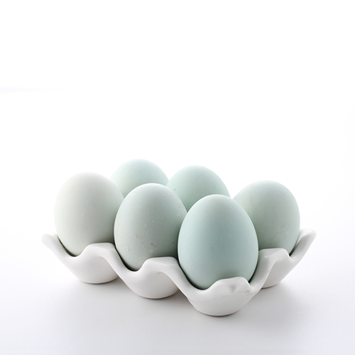 Duck Eggs (Hasher Dim)~ 6 Pcs