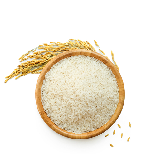 Ishan Nazirshail Premium Rice (10kg/ Per kg 87 taka)