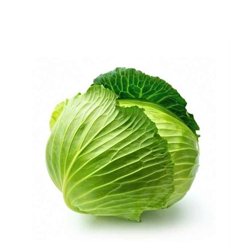 Badhakopi (Cabbage)