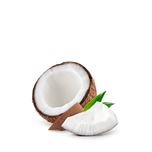 Narikel (Coconut)~ Small Size