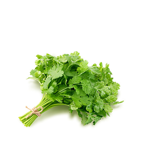 Coriander Leaves (Dhonia Pata)