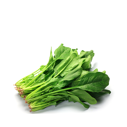 Palong Shak (Palong Spinach)~ 1 bundle