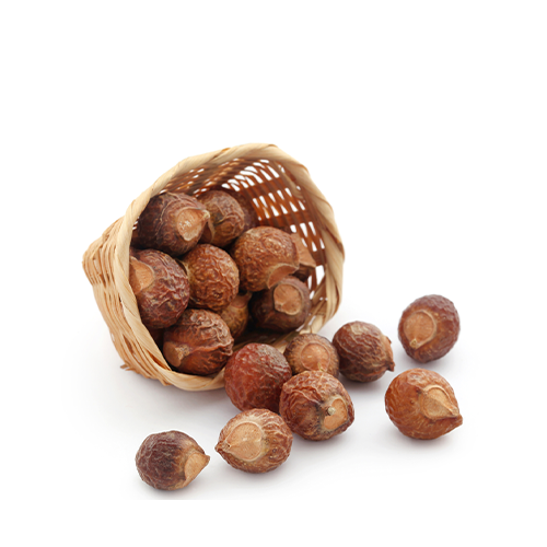Ritha (Reetha Seeds)~100 Gm