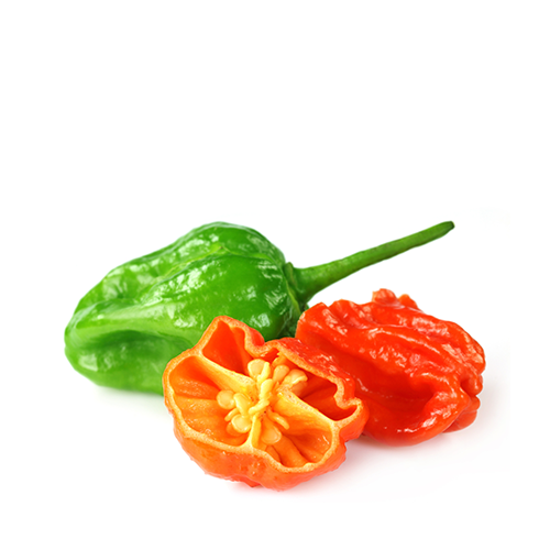 Bombay Morich (Naga pepper)~4 piece